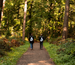 Wandelen met De Groene Buizerd knapzak